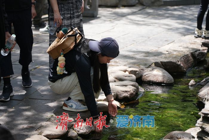 一年四季 泉在济南丨热浪来袭，泉畔尽享“透心凉”！