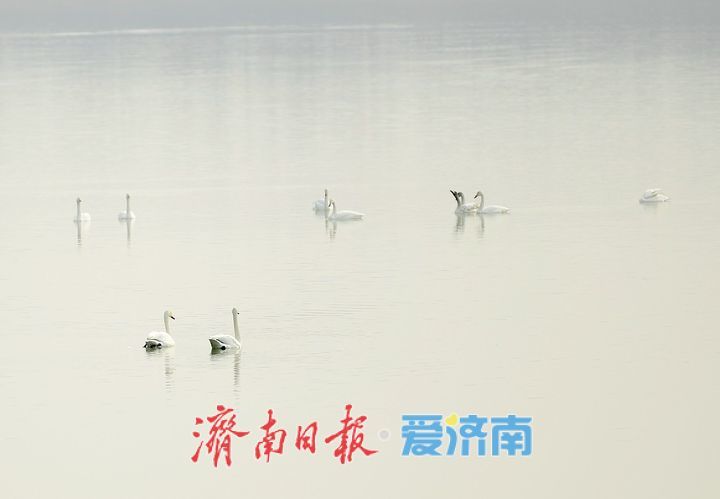 泉城年味气氛组已就位，是“蛇”候过年啦！