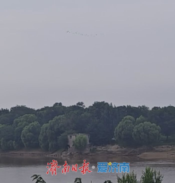 大河之上群鸟蹁跹 游人悠闲置身安澜画卷