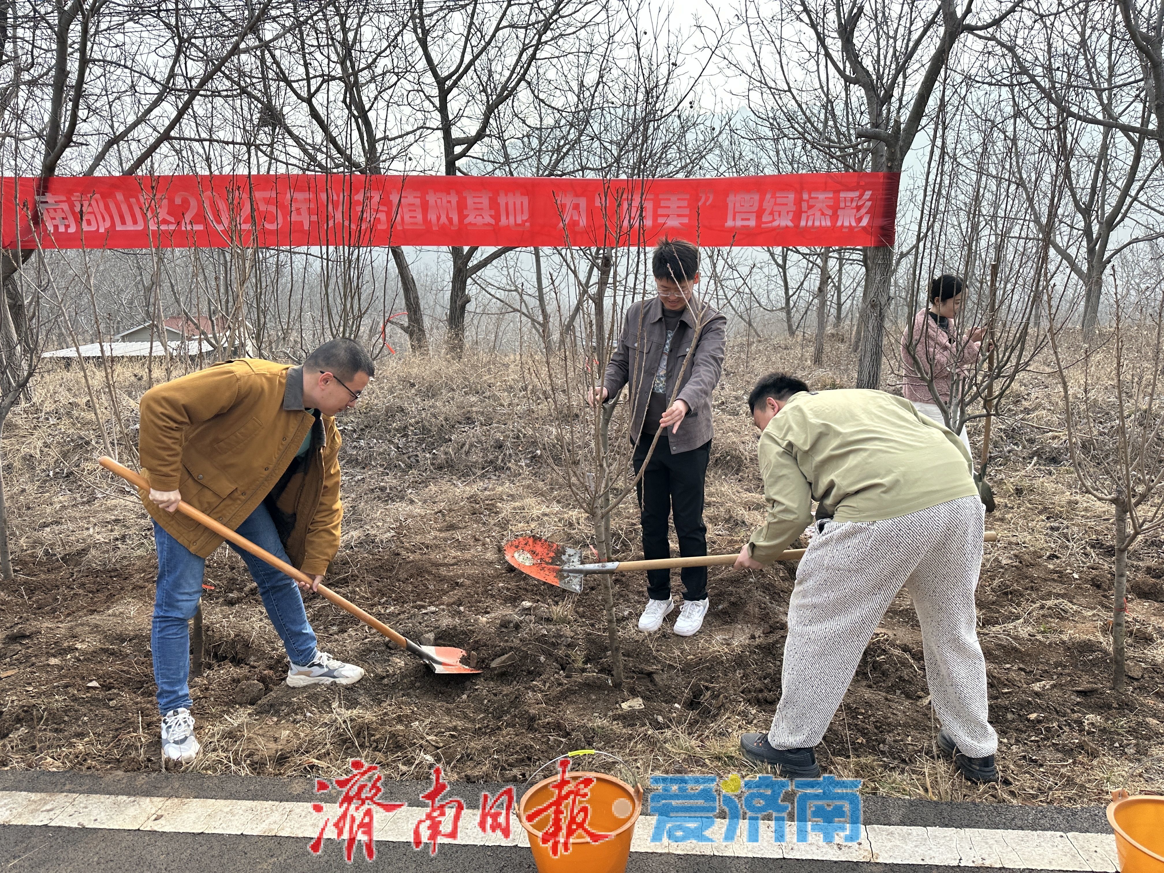 奔赴春光之约，共植泉城新绿 济南市全民义务植树活动全面启动