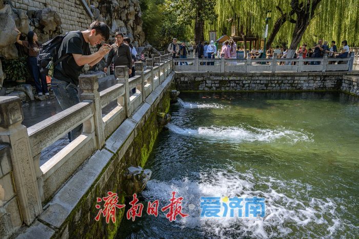 黑虎泉水位不断攀升，“虎啸”震天引客来