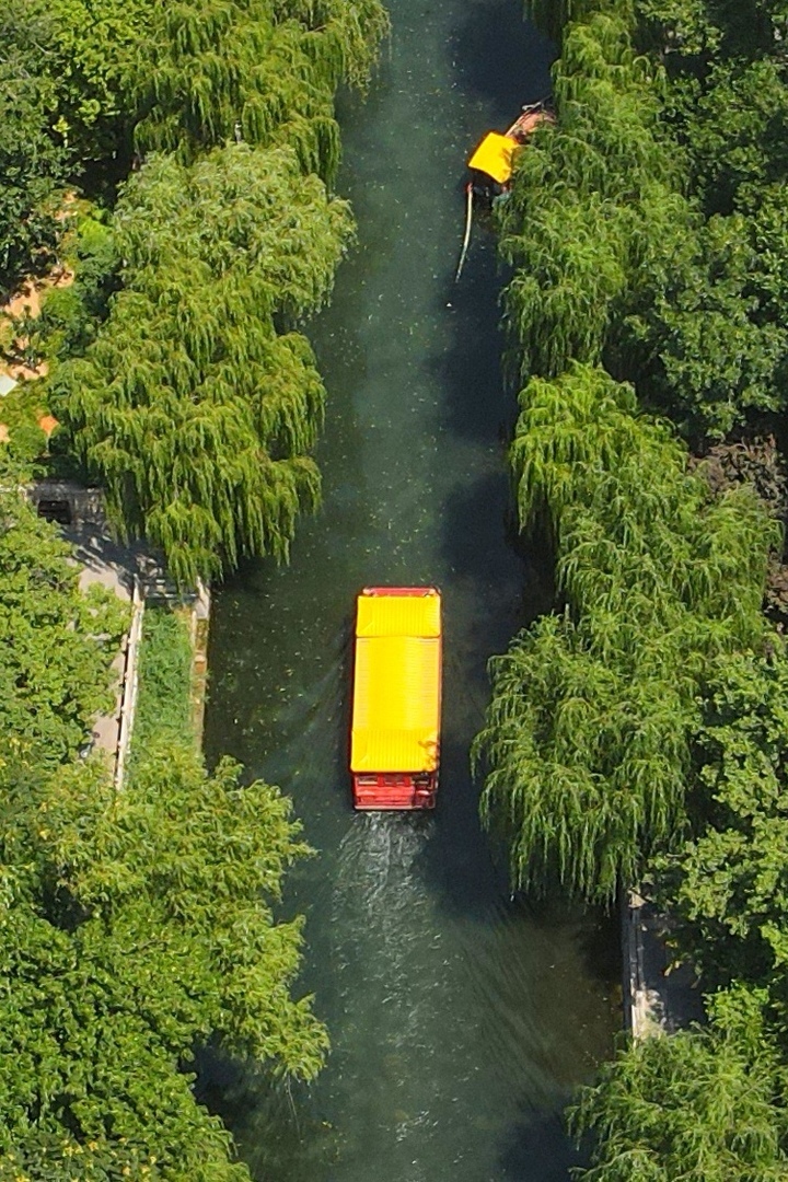 亲泉戏水享清凉