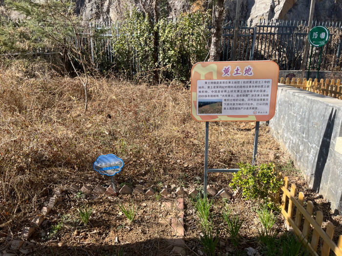 在春天里播种未来！原山小学举行第四届播种节