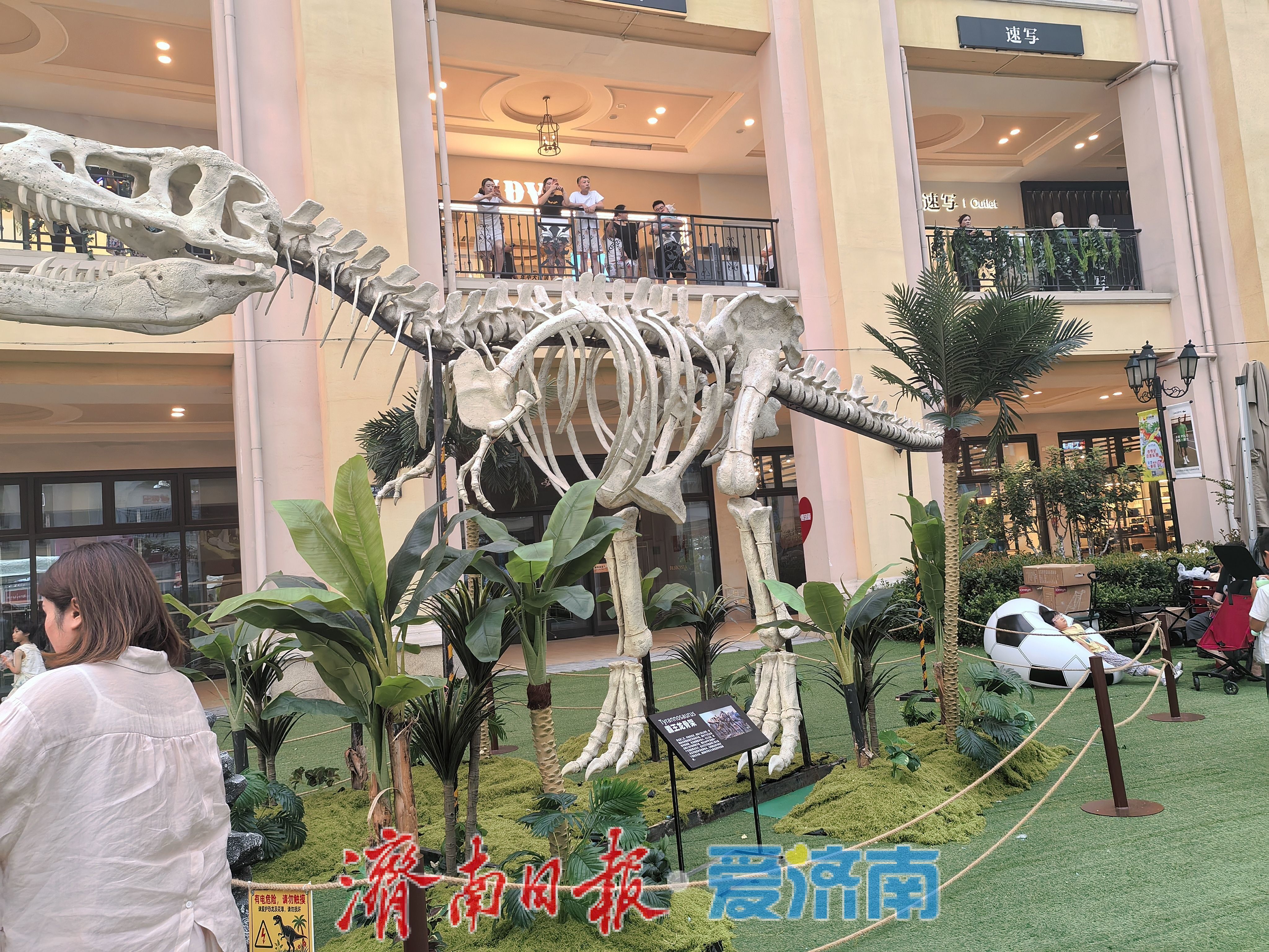 端午遛娃新去处！济南东部商场有处“侏罗纪课堂