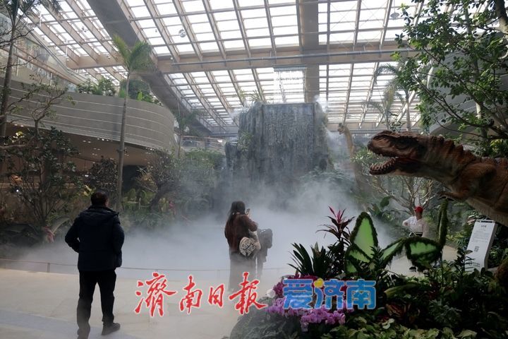 黄河畔的冬日宝藏地！温室花园、宋词演艺成游客新宠