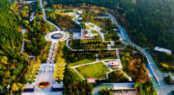 连办7天！第三届山东省森林文化周活动4月20日启幕