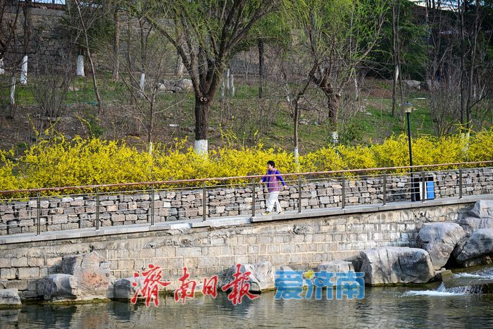 一年四季 泉在济南丨春日孟家庄水库：市民游客共享自然惬意时光