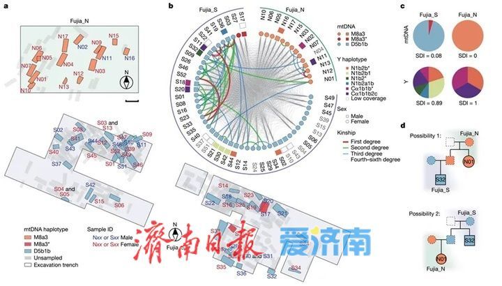 山东淄博小高遗址、山东广饶傅家遗址研究成果分别入选2025国内、国际十大考古新闻
