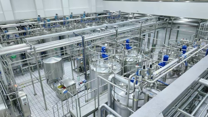 一个市场、一杯牛奶、一颗草莓，看见项目的力量