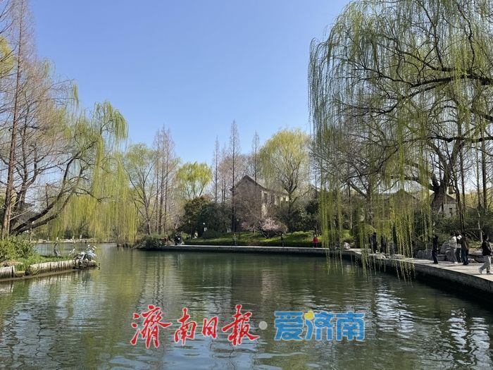春雨初霁晴空朗 大明湖新绿映江南