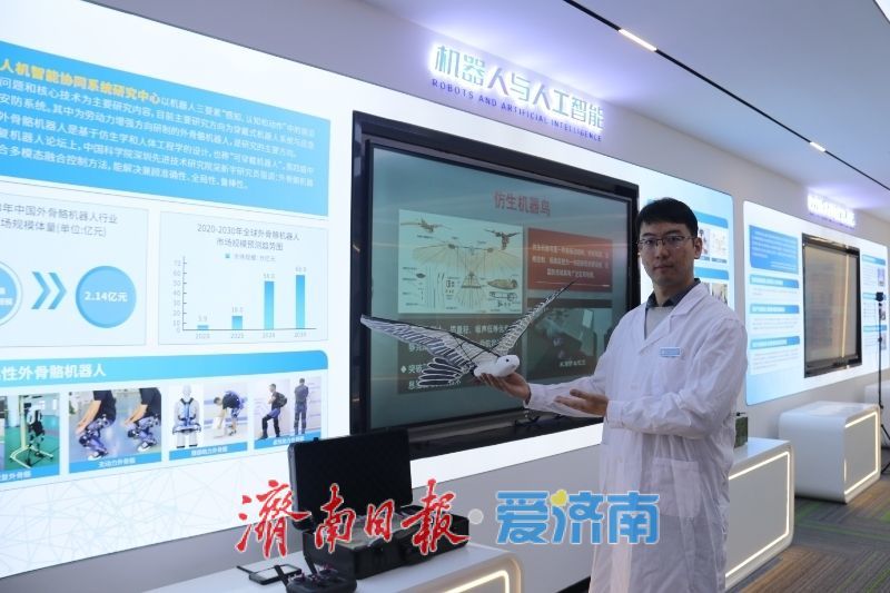 一只仿生扑翼“鹰”的自述