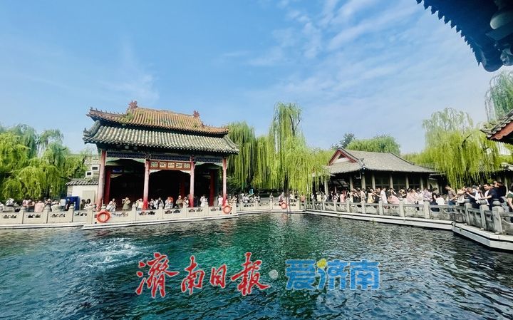 一年四季 泉在济南｜泉涌人潮，秋意浓