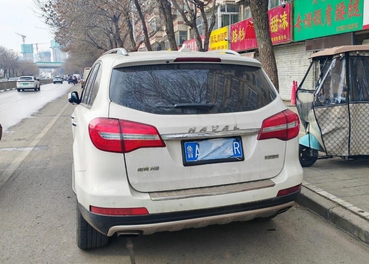 海报、口罩、树叶，驾驶人花样翻新挡车牌被查