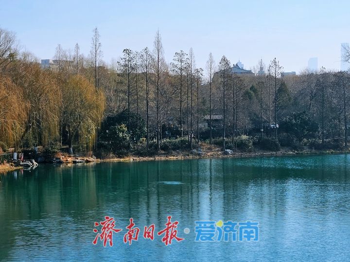 一年四季 泉在济南丨早春踏青正当时