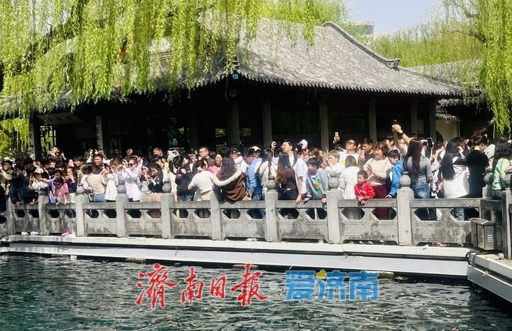 一年四季 泉在济南丨清明假期第二天，趵突泉人气爆棚 三股水景点前游客接踵摩肩