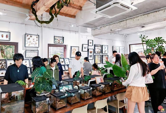 泉畔新章，于此上新 “双节”假期上新街持续“上新” 赴约城市美学盛宴