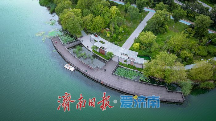 市民乐享“水岸清凉” 云锦湖公园绘就夏日生态画卷