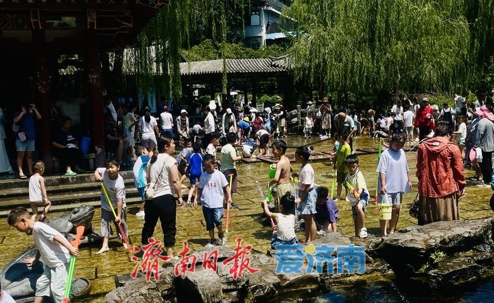 一年四季 泉在济南丨清泉石上流，戏水消夏暑