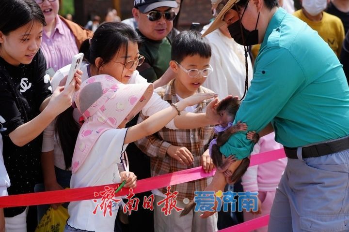 端午假期济南30家重点监测景区接待游客156.15万人次，实现营收4339.25万元