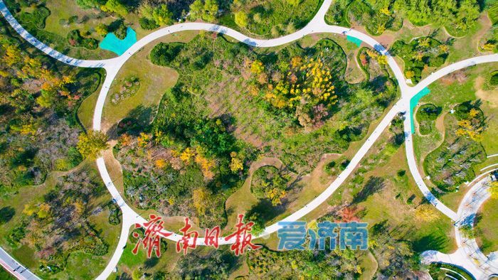 一年四季 泉在济南丨秋暮意正酣 华山湖公园秋意正浓