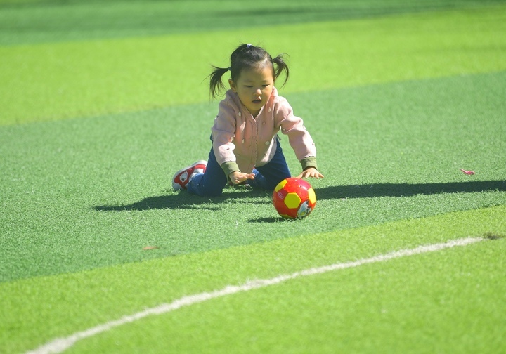 千花百卉争明媚，一城春色入眼来