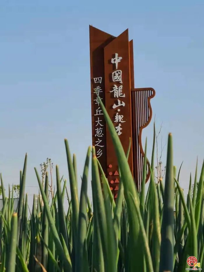 “这里是章丘！”·美食篇·龙山