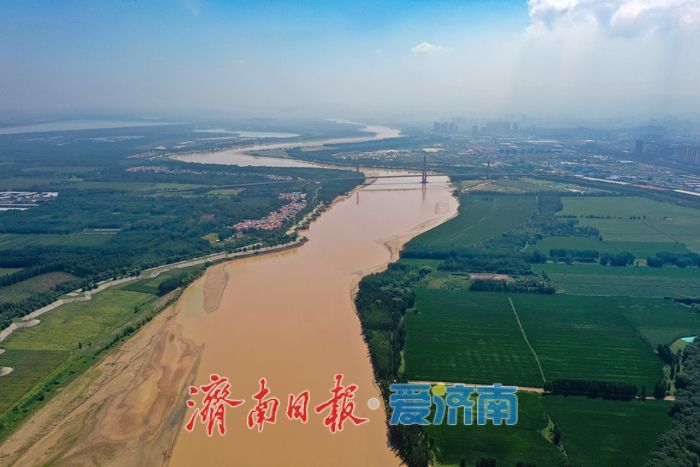 金色长廊映黄河，济南百里生态画卷徐徐展开