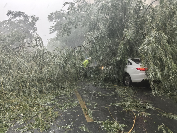 强降雨来袭济南街头大树添“堵” 他们逆行守护“雨天出行”