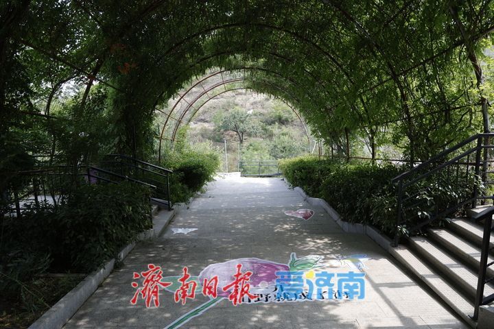 一年四季 泉在济南丨昔日小山村变身旅游打卡地