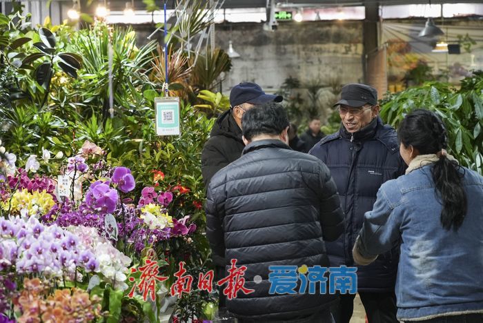 春节临近 年宵花市场迎来销售旺季