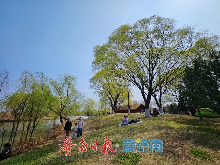 春染湿地美如画 生态济西迎客来