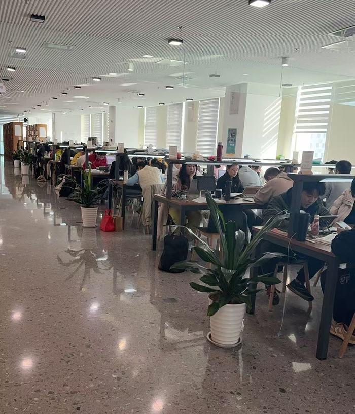 各大考试临近，图书馆“座无虚席”，付费自习室成热门选项，考生直言“花钱买效率”