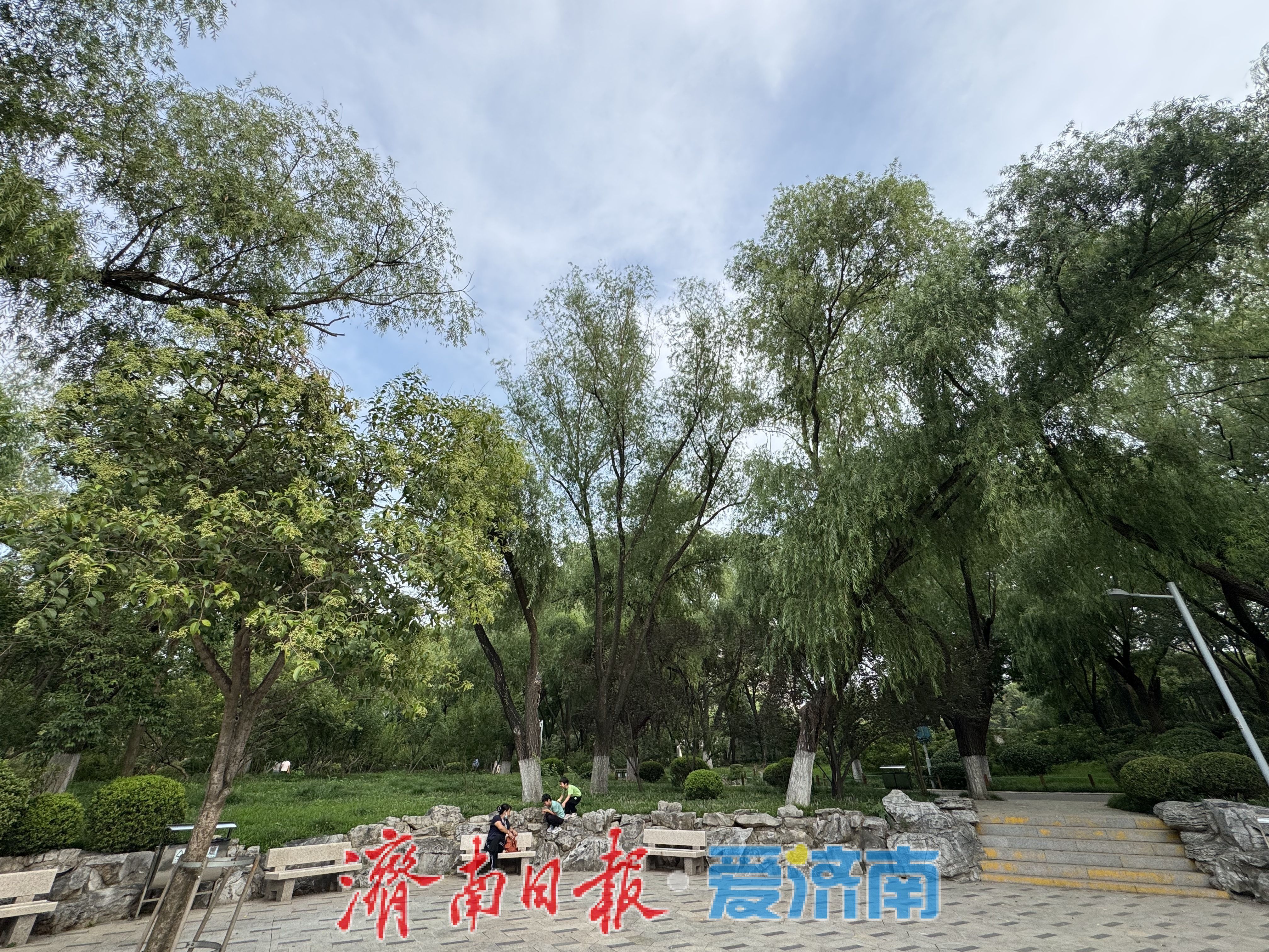一年四季 泉在济南丨初秋休闲好去处 泉城公园景致佳