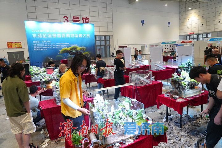 方寸之间藏天地！展会水陆缸微景观造景大赛激战正酣，高手齐聚济南