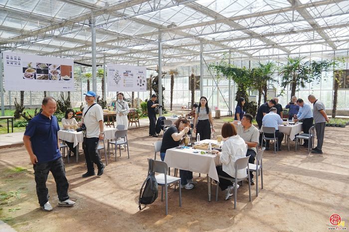 昔日荒山变身“百草园” 扁鹊故里崛起中医药产业融合园区