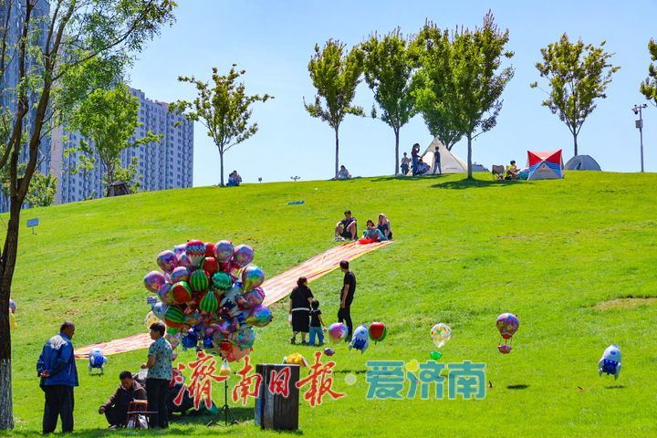 晴空映绿意 周末趣时光