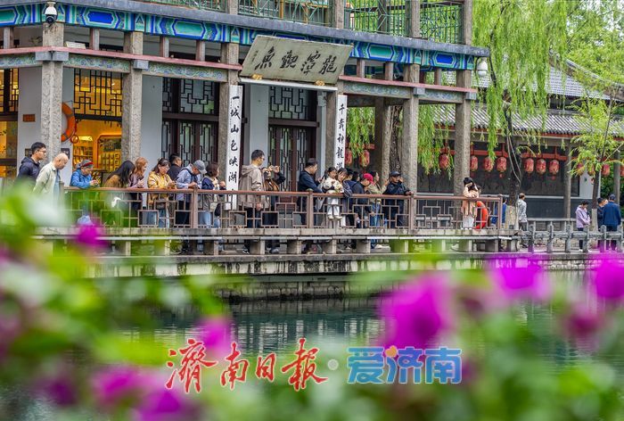 一年四季 泉在济南丨千泉竞涌，泉水叮咚 勾勒泉城独有灵动诗意