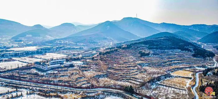 “这里是章丘！”——文祖篇