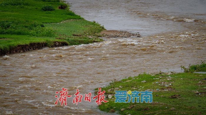 一年四季 泉在济南丨济南卧虎山水库南岸草坪成生态新名片