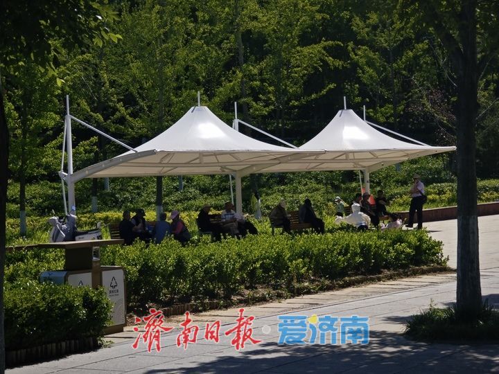 泉城初夏赏佳处，将山蔷薇醉游人 