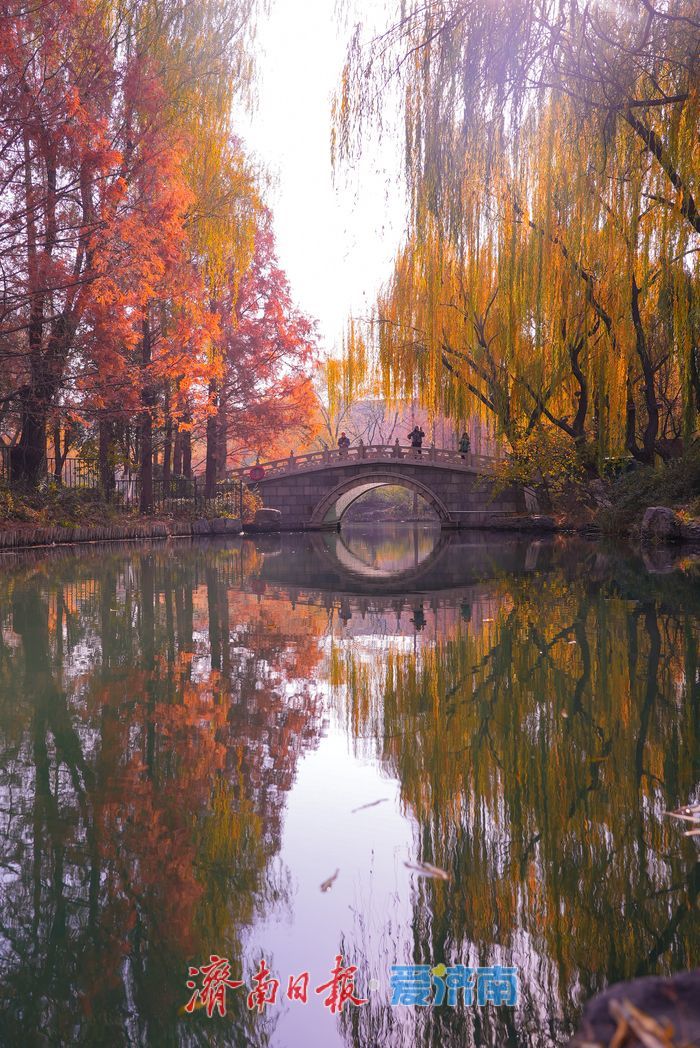 一年四季 泉在济南丨大明湖四象限机位 褚红杉林美到出圈