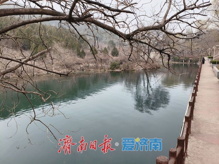 春风拂绿历阳湖 泉城醉美入画来