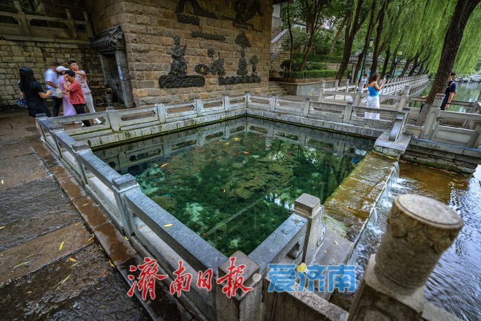 一年四季 泉在济南｜济南黑虎泉水位攀升，夜景迷人引客来