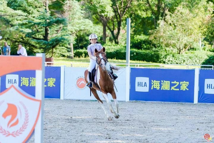 “泉在济南 一马当先”｜2024年国际马联场地障碍世界挑战赛（济南站）隆重开幕！
