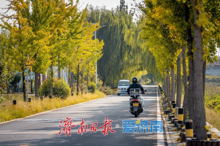 一年四季 泉在济南 