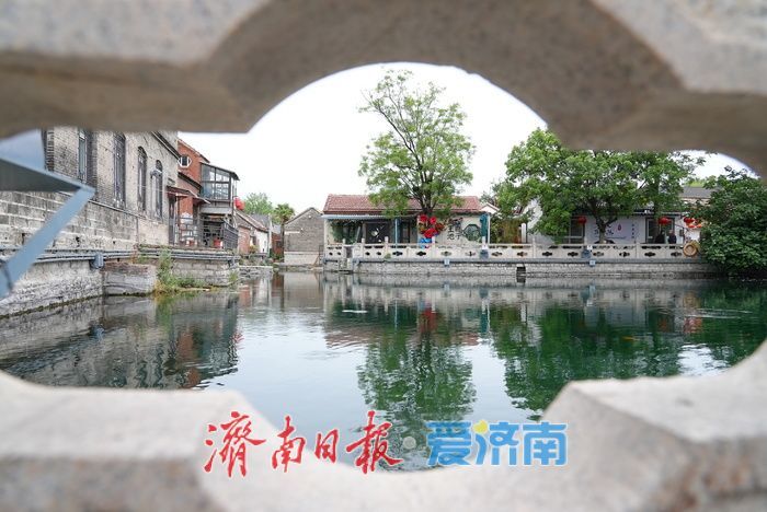 一年四季 泉在济南｜泉涌鱼游花相伴！雨后王府池子焕新姿