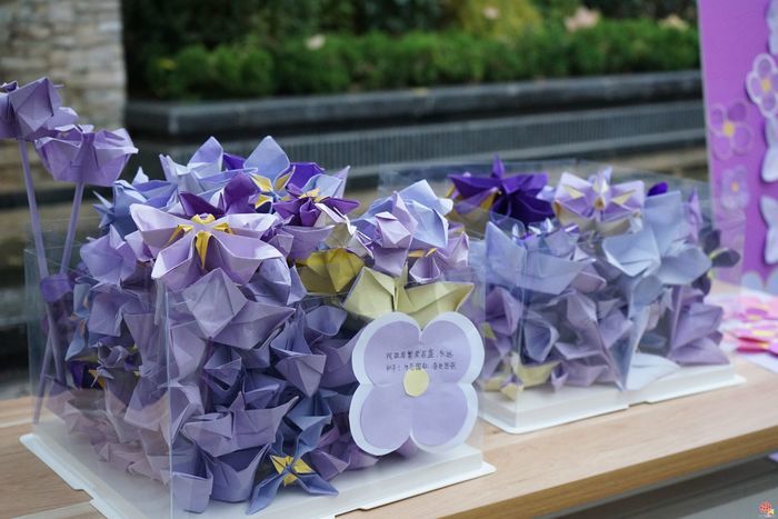 济南市历下区燕山小学开展爱国主义教育：一朵紫金草，绽放和平之花