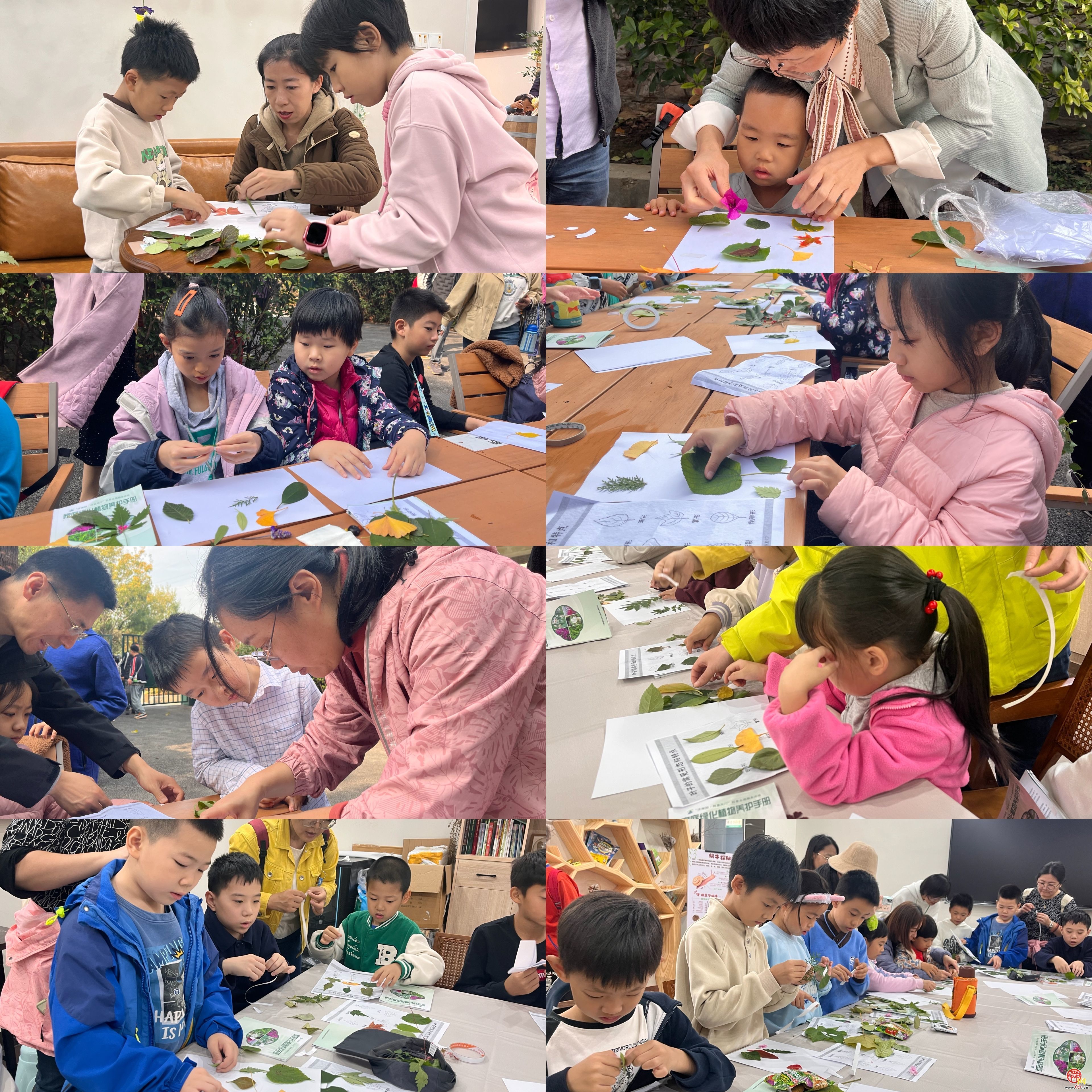 自然教育｜济南园·林惠民行“小小观察员森林探秘”科普研学活动走进泉城山林自然观察径