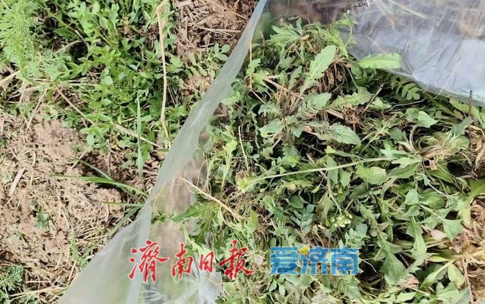 年轻人解锁“慢充式旅游”，济南这些新场景氛围感拉满