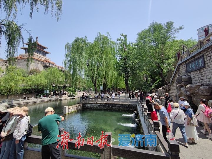 一年四季 泉在济南丨烈日炙烤 护城河畔成为“避暑秘境”